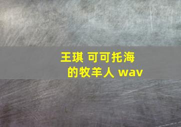 王琪 可可托海的牧羊人 wav